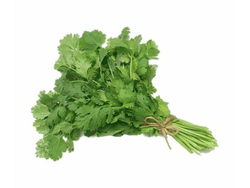 Cilantro 1 atado
