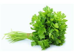 Perejil 1 atado