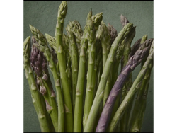 Espárragos 1kl