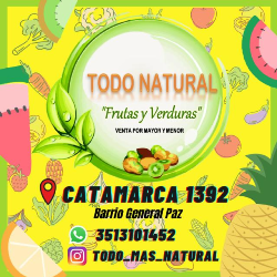 Logo Todo Natural