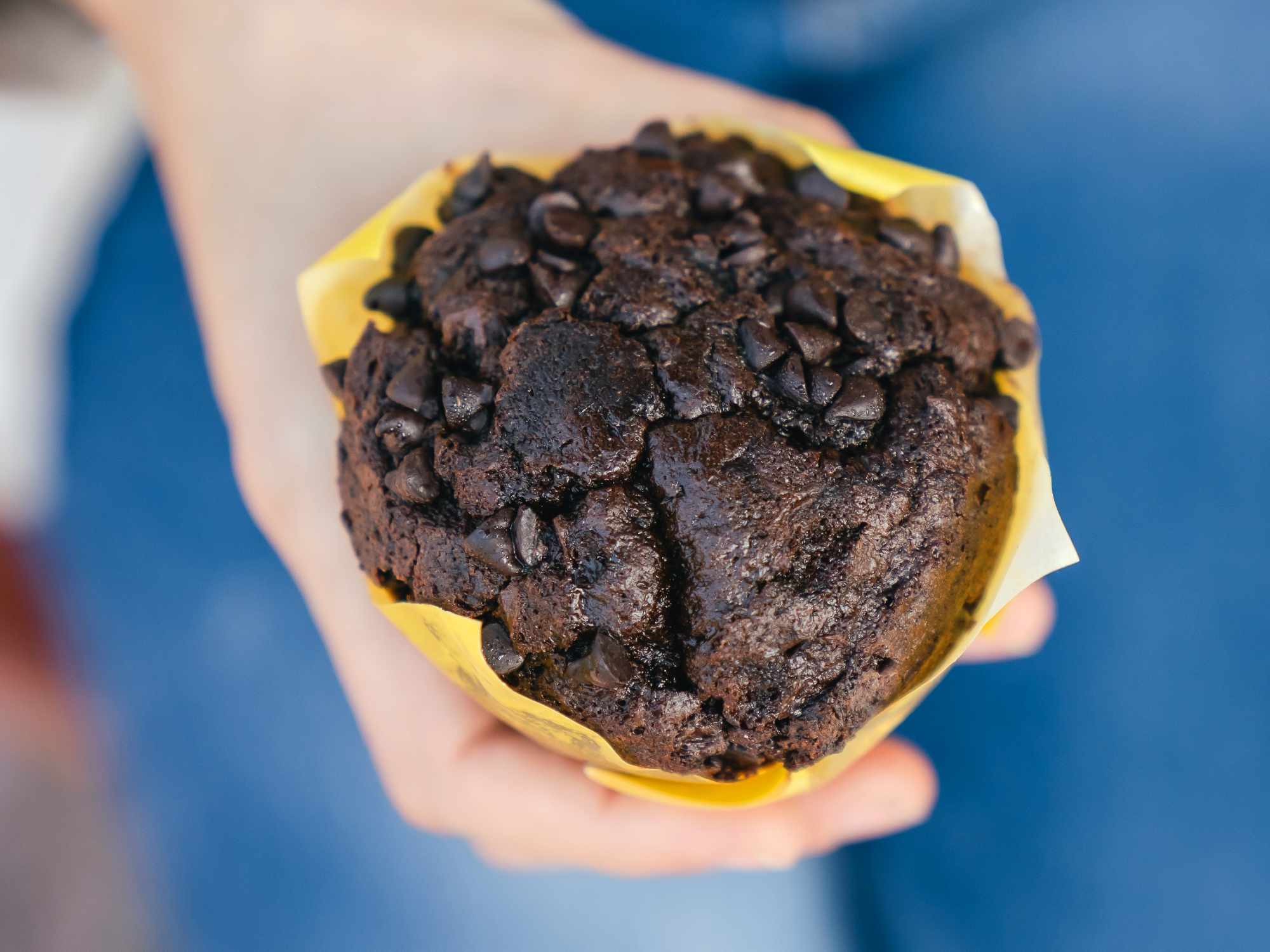 Muffin de chocolate con chips de chocolate