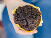 Muffin de chocolate con chips de chocolate