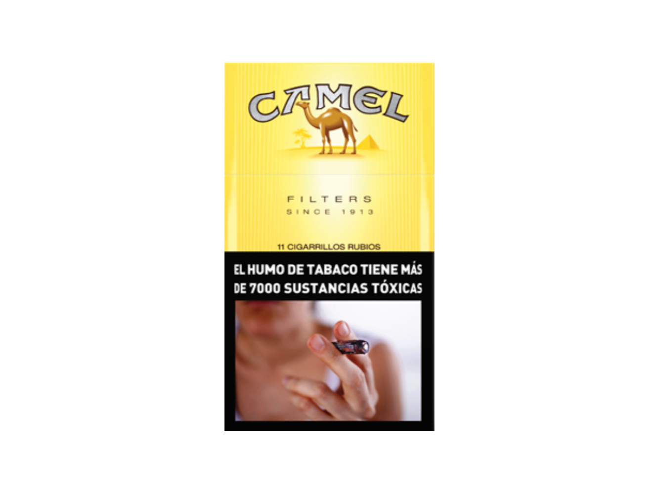 Camel 11