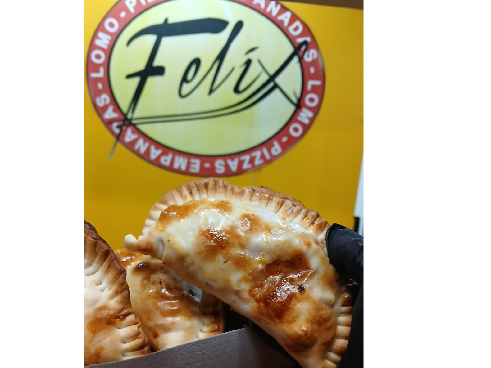 EMPANADAS DE JAMON Y QUESO