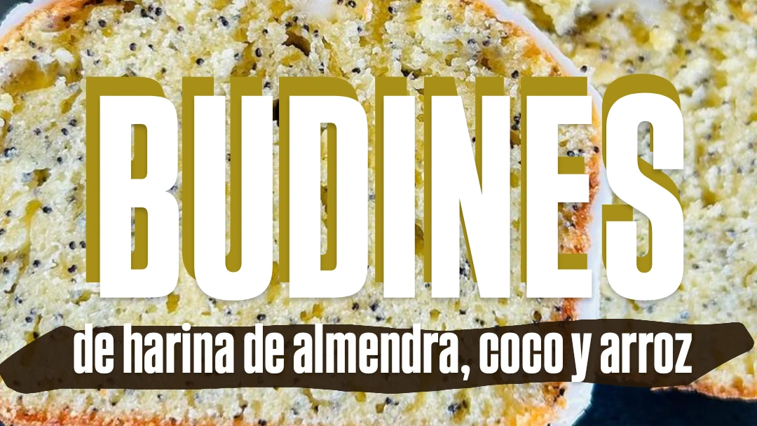 BUDINES