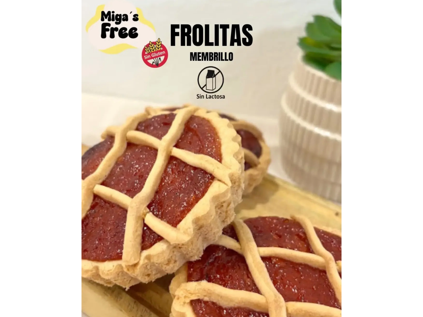 Mini flolitas