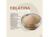 Gelatina sin sabor premium