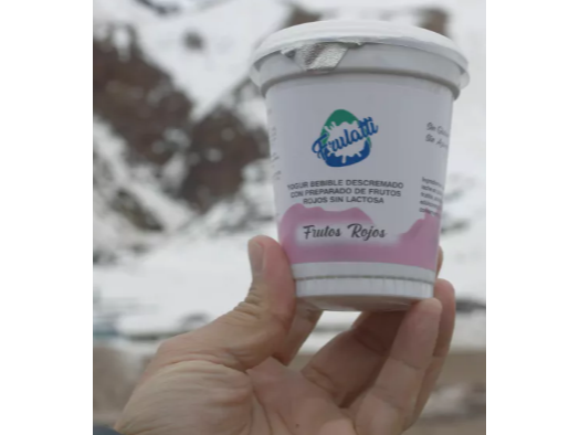 Yogurt bebible 310gr