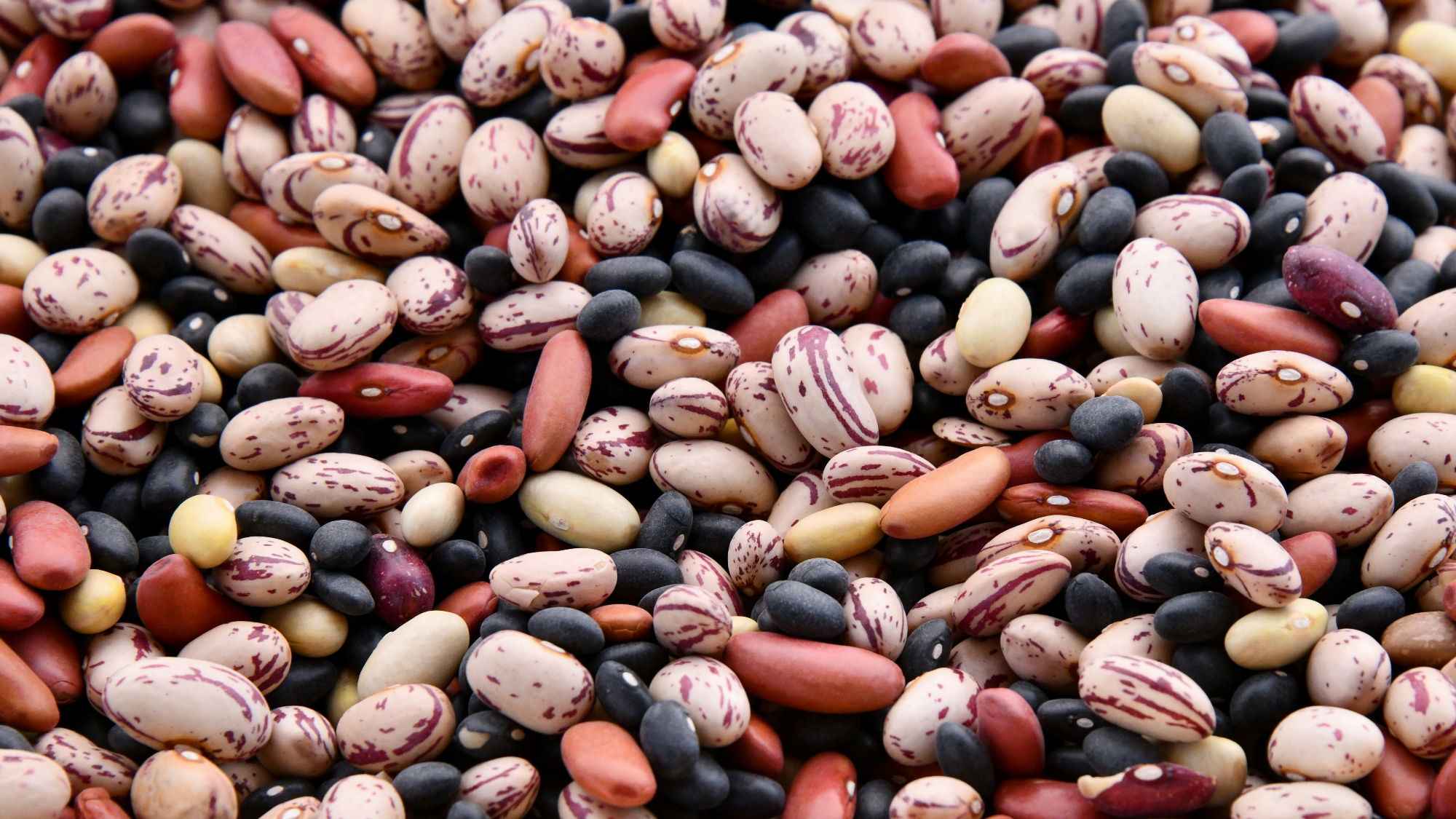 Legumbres y cereales