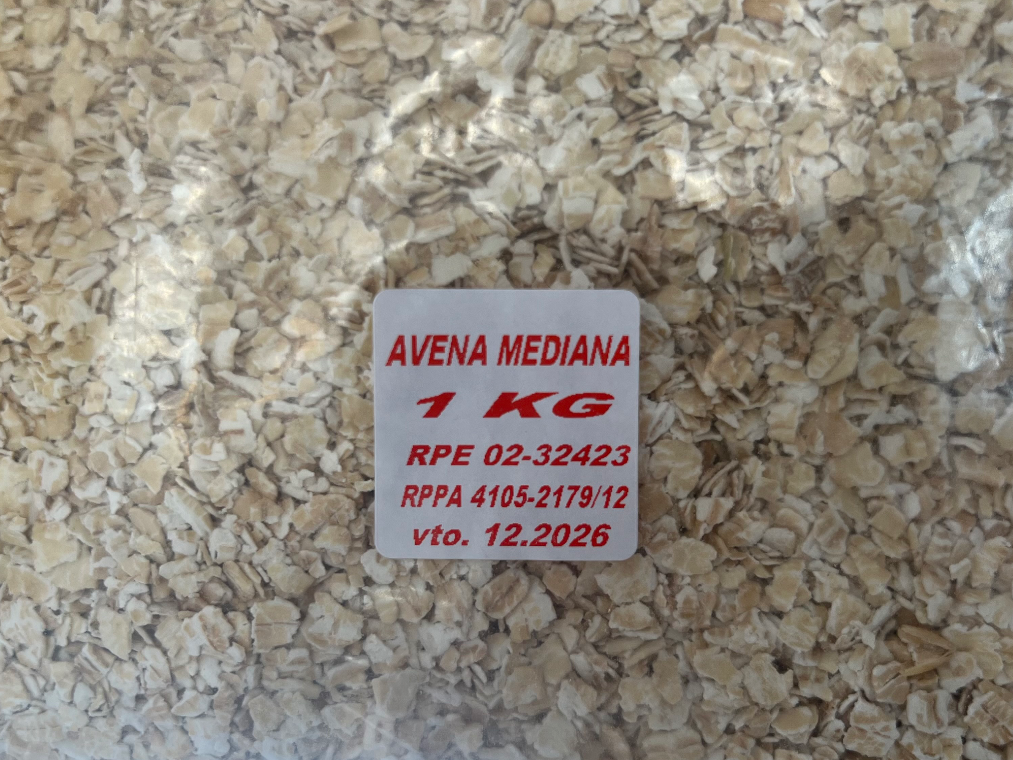 Avena mediana