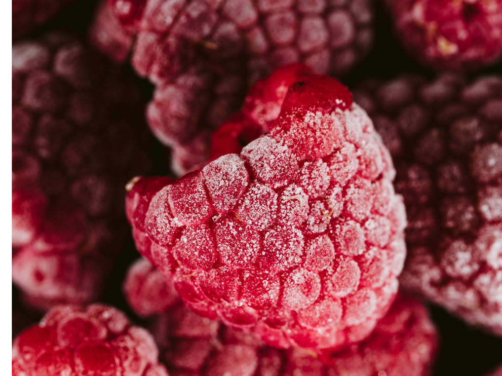 Frutos rojos Agroecológicos