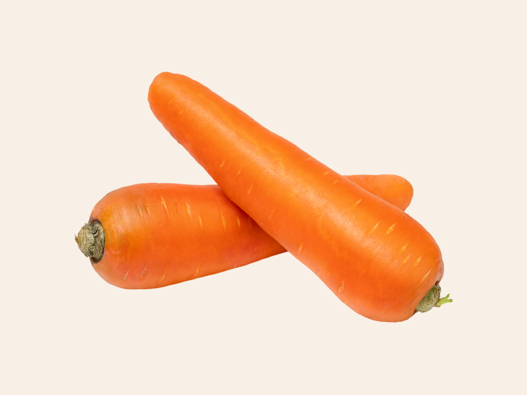 Zanahoria sin hojas
