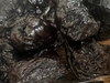 Ciruela bombon