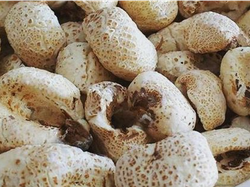 Tutucas con Edulcorante