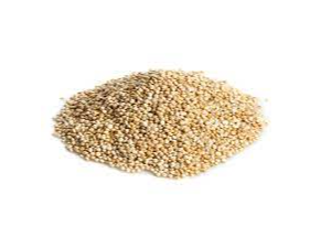 Quinoa