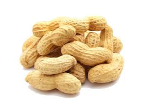 Maní con cascara premium