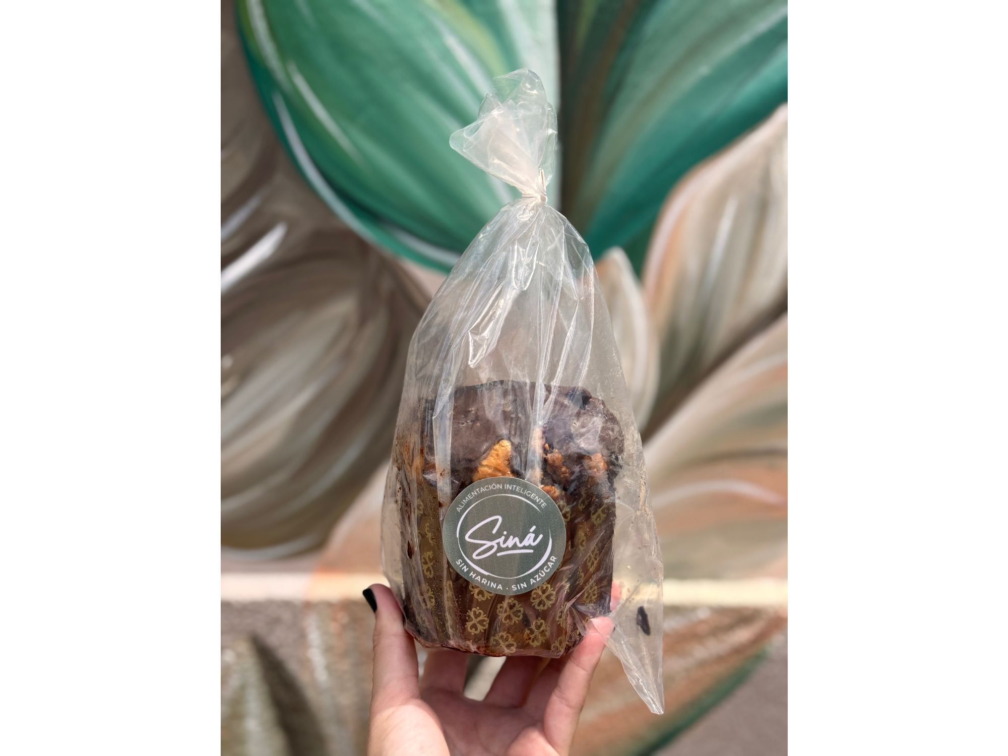 Pan dulce Low Carb con trozos de chocolate