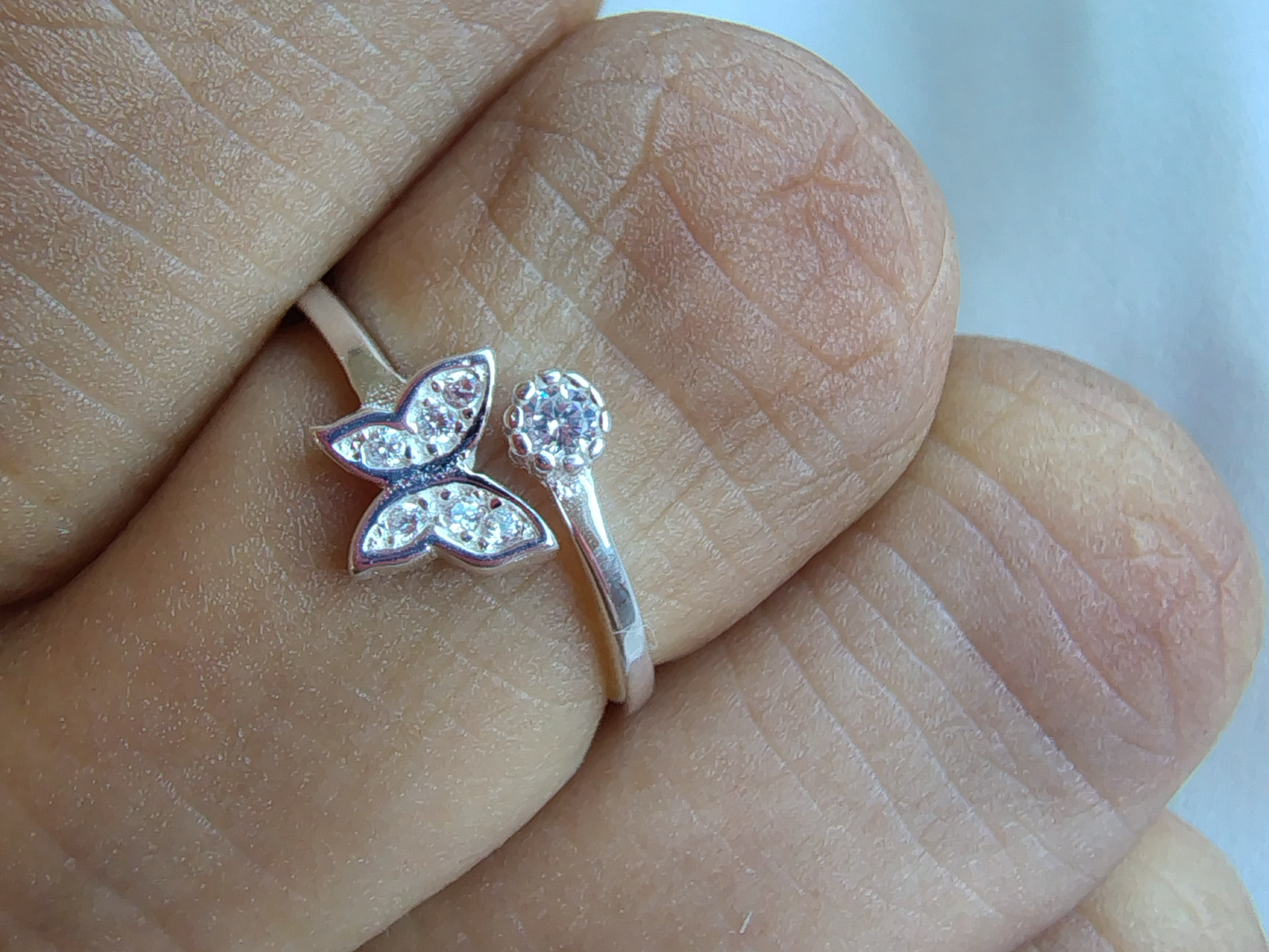 mariposa chica