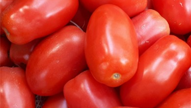 Tomates