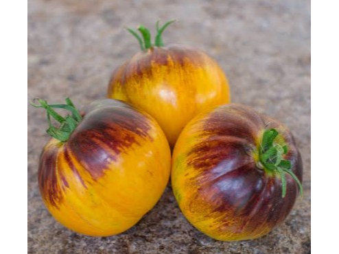Tomate Alices Dream