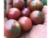 Tomate Cherry Ron´s Carbon Copy