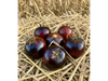 Cherry Märchenglanz - Brillo de Cuento de Hadas