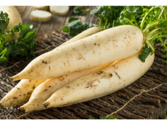 Nabo Daikon