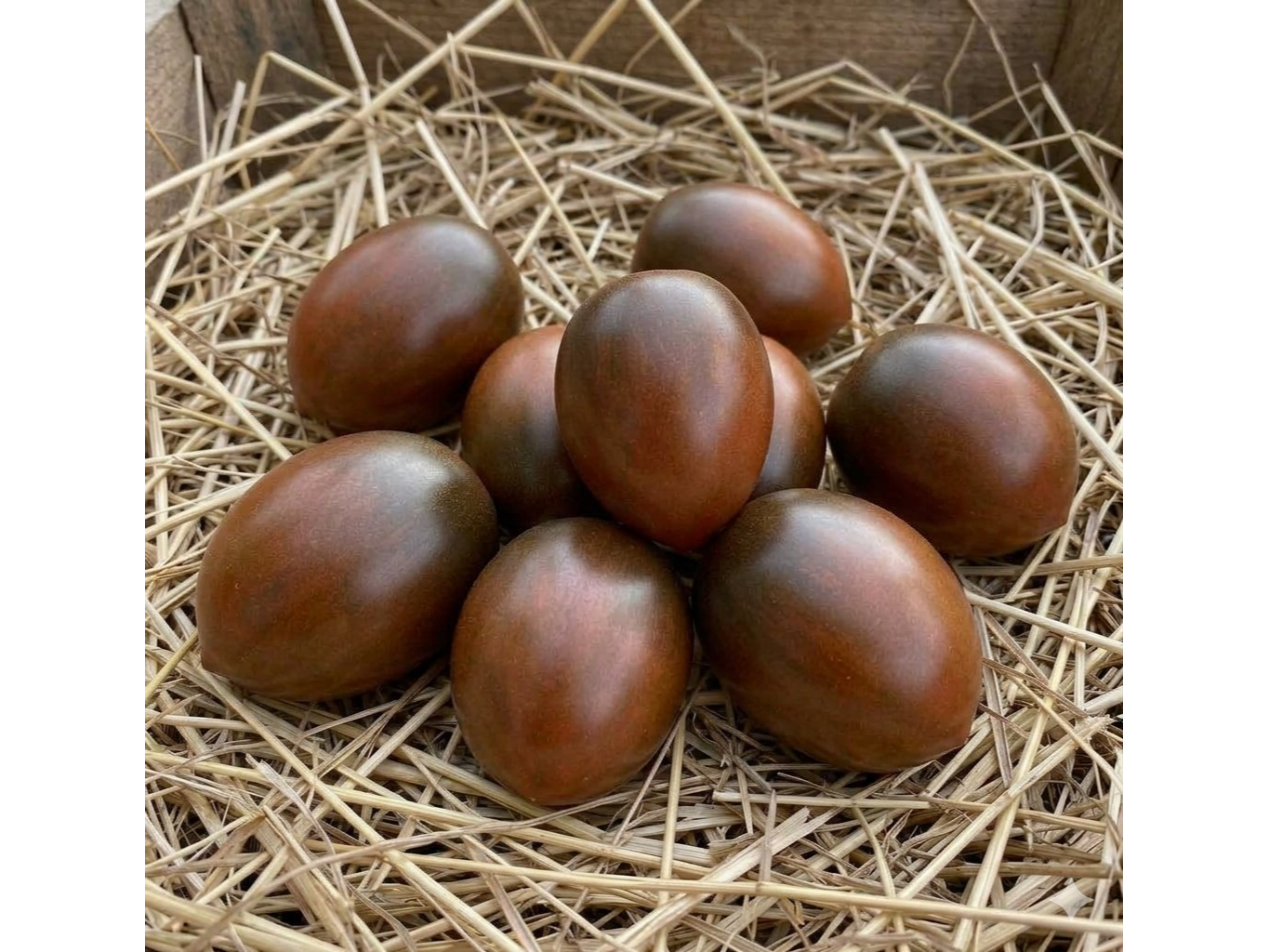 Cherry Pokana