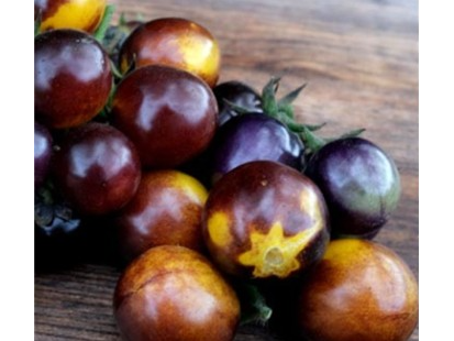 Tomate Cherry Bosque Bumblebee