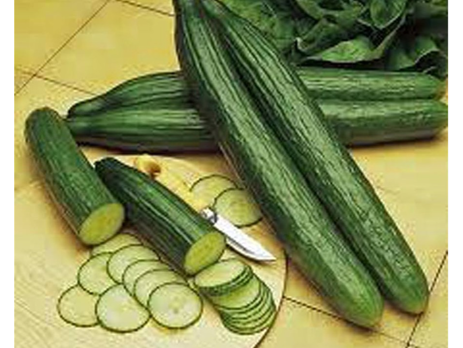 Pepino XXL