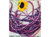 Chaucha de Metro Purple Podded