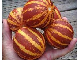 Melón Sweetness