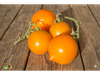 Tomate Allure
