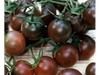 Cherry Kumato Negro
