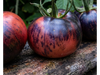 Tomate Blue Streak
