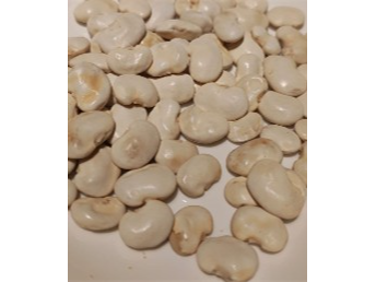 Poroto Pallares Blanco