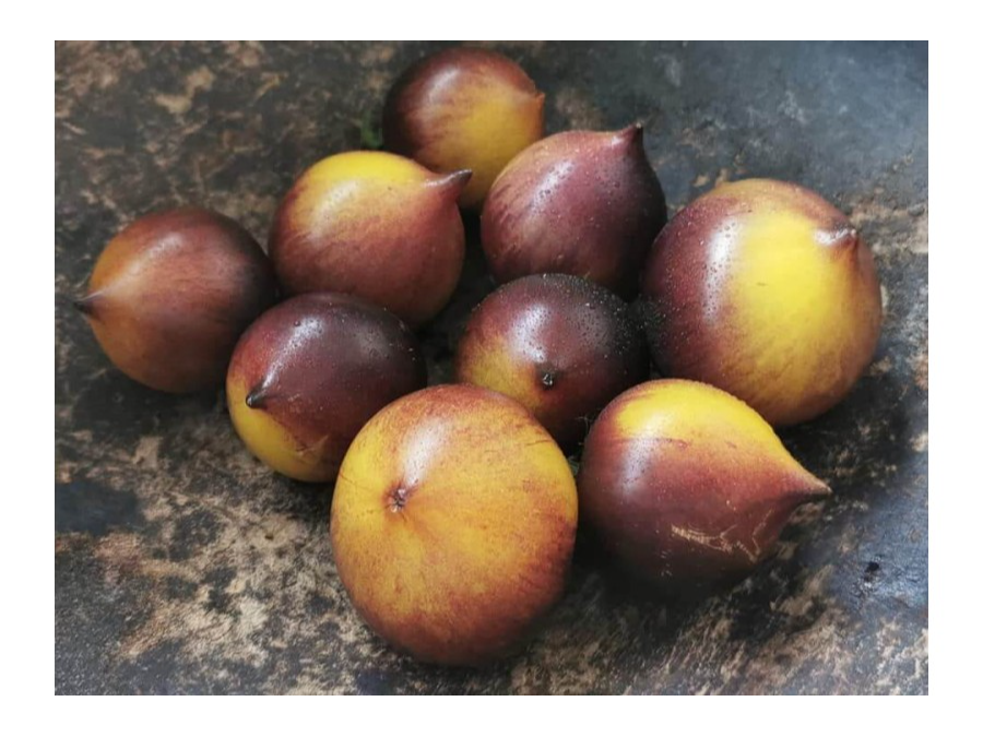Cherry H34 Gelb Belle Coeur