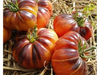 Tomate Afternoom Delight