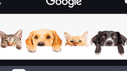 MASCOTAS