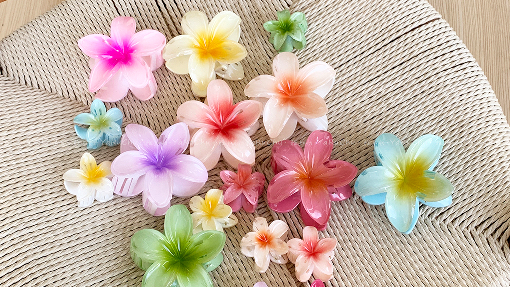 Broches y Accesorios para el Cabello