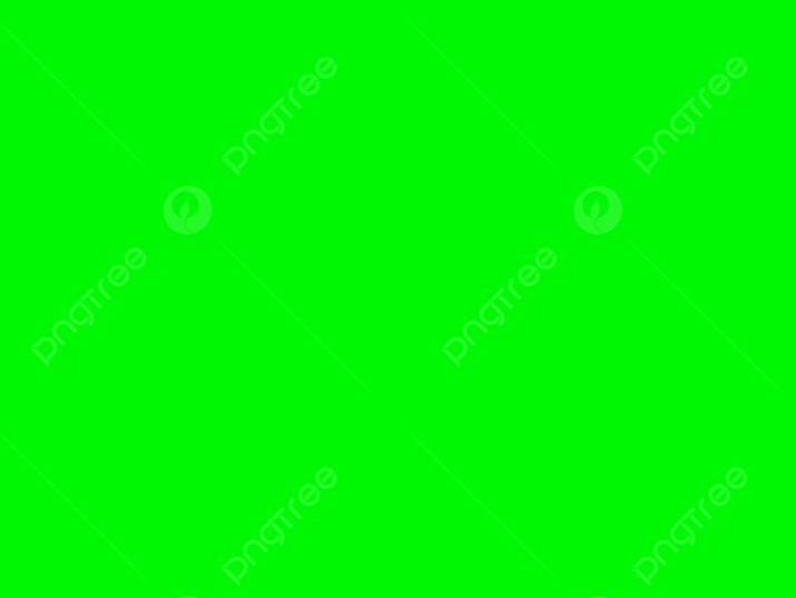 Tamaño Carta Cartulina Verde Manzana