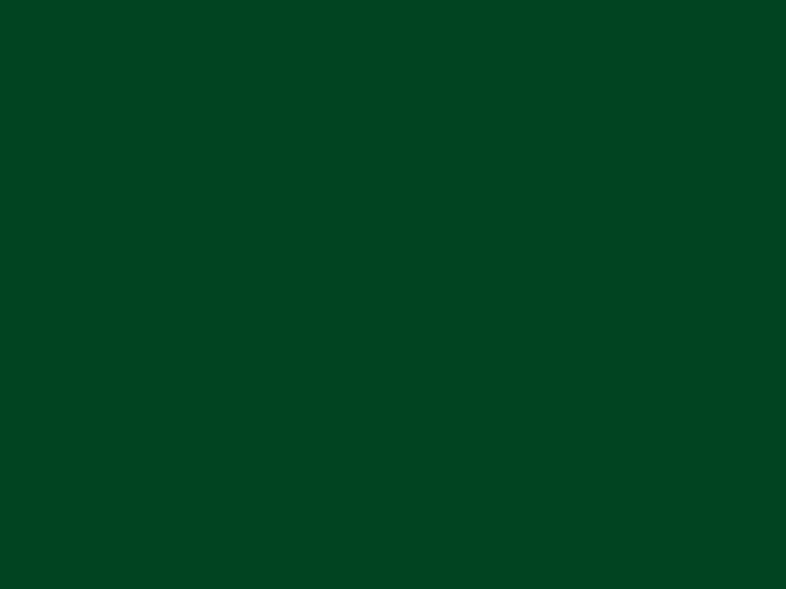 Goma Eva Pliego Verde Oscuro