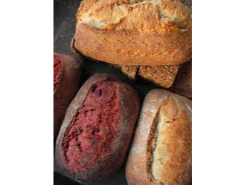 Pan de masa madre - PIZKA COCINA