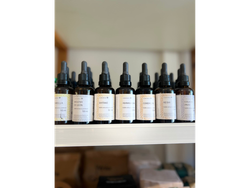 Hongos adaptógenos - CULTIVAMENTE