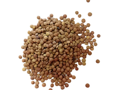 LENTEJAS SECAS X 500GR