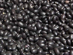 POROTOS NEGROS  X KG