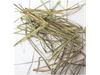 Lemon Grass
