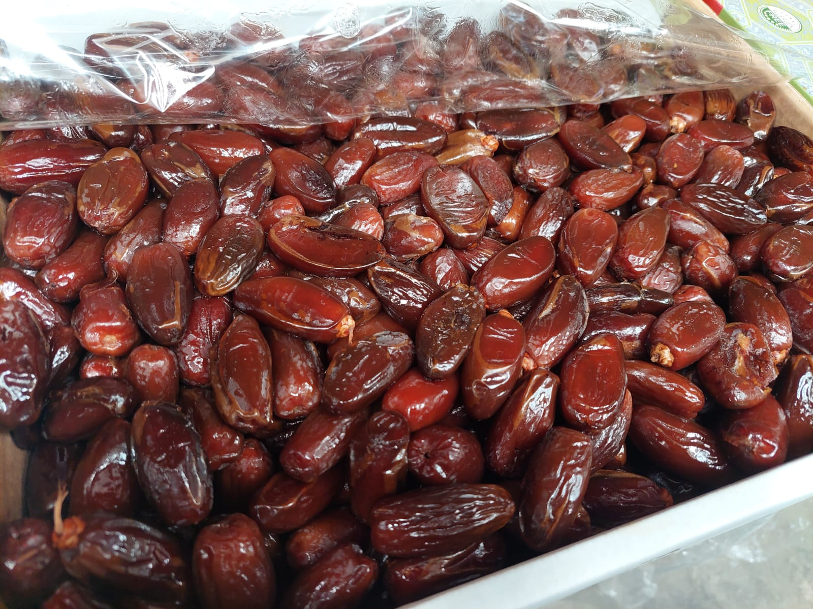 Datil deglet argelia con carozo