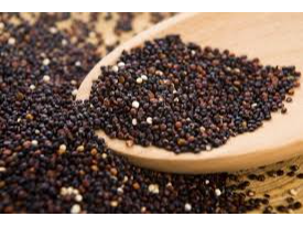 QUINOA NEGRA