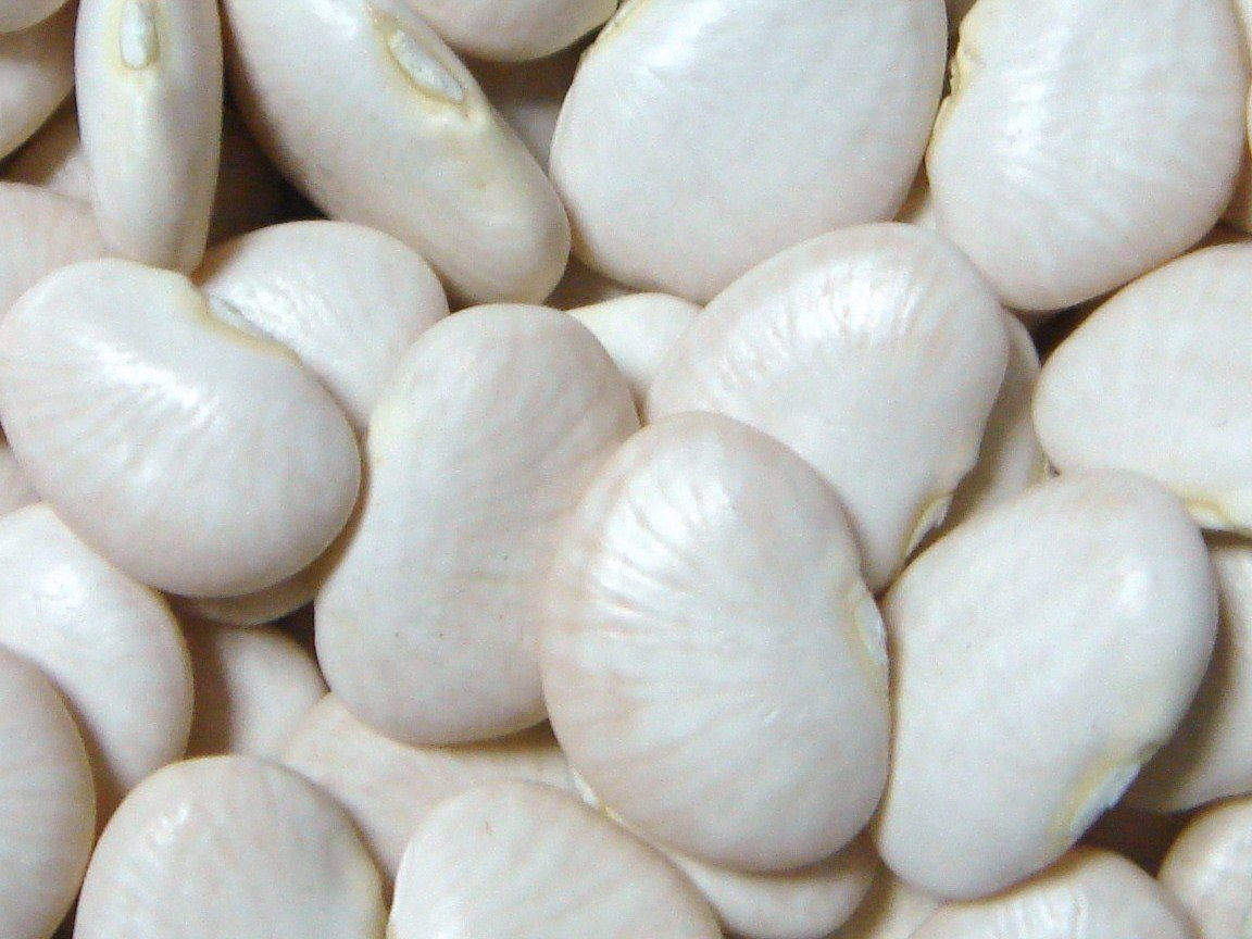 Poroto Pallares x 25kg